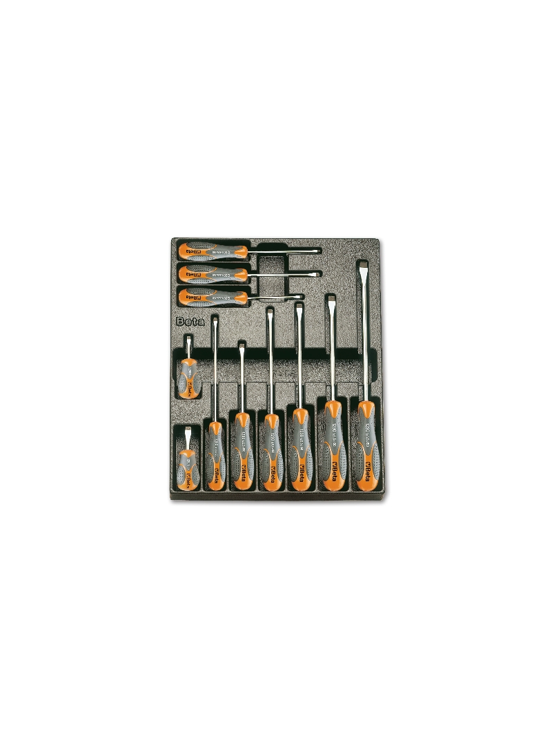 T160-HARD THERMOFORM. TRAY WITH 11 TOOLS