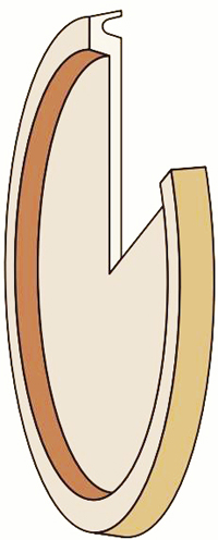 POKROV ASNH 520-617 SKF